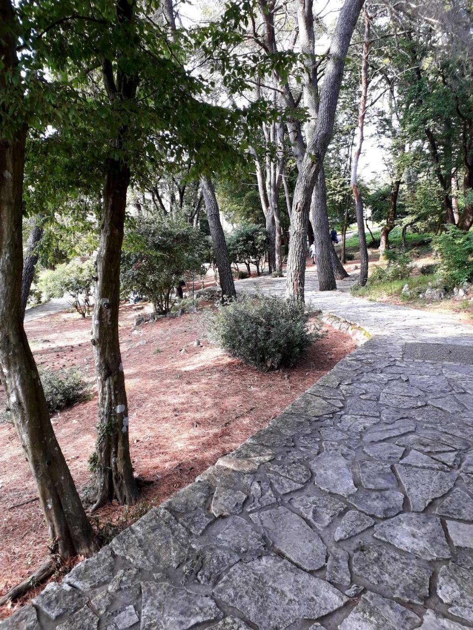 Apartments And Rooms Haludovo - Ribarsko Selo Malinska Dış mekan fotoğraf